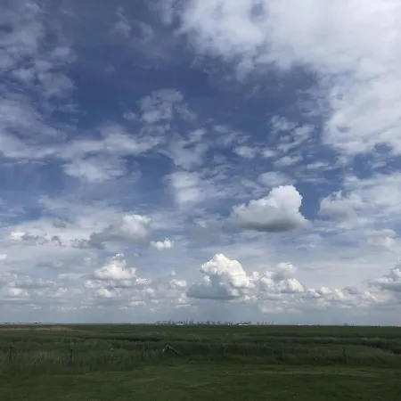 Borkum *